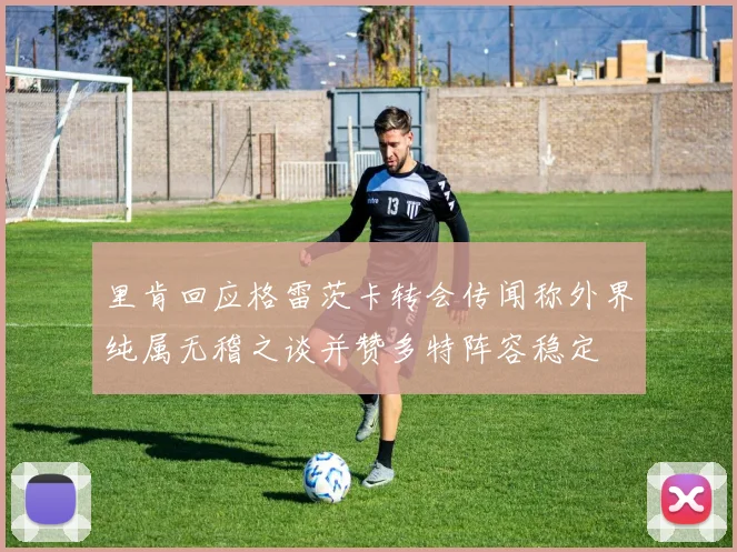 里肯回应格雷茨卡转会传闻称外界纯属无稽之谈并赞多特阵容稳定