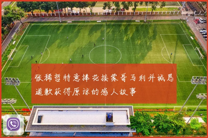 张稀哲特意捧花接蒙哥马利并诚恳道歉获得原谅的感人故事